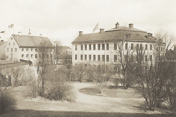Black and white photo of bare trees and bushes on Riddartorget with Skytteanum and Oxenstierna Building in the background