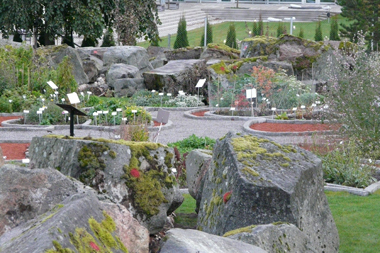 Rocks in the Botanical Garden