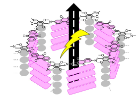 Illustration av redoxaktiv polymer.