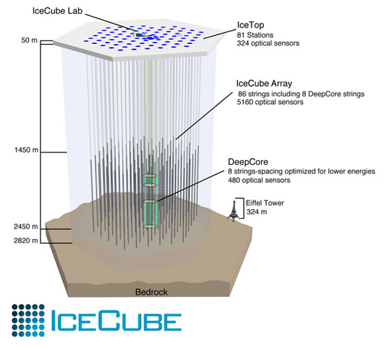 Schematisk bild av IceCube-detektorn