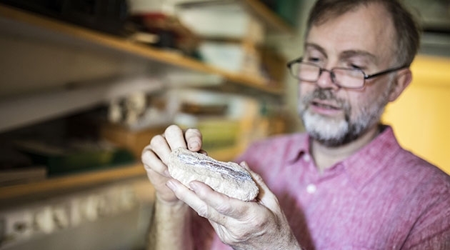 Professor Per Ahlberg conducts research on the origin of land animals. Here with a fossil jaw from the lobe-finned fish Polyplocodus – probably a close relative of the first tetrapods.