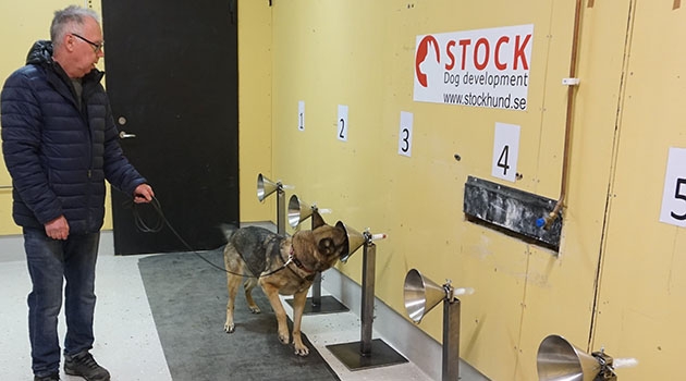 Träningen kommer att ske under ledning av Hundhjälpen i Uppland och Stock Hundutveckling med flera olika hundraser och beräknas ta upp till tre månader.