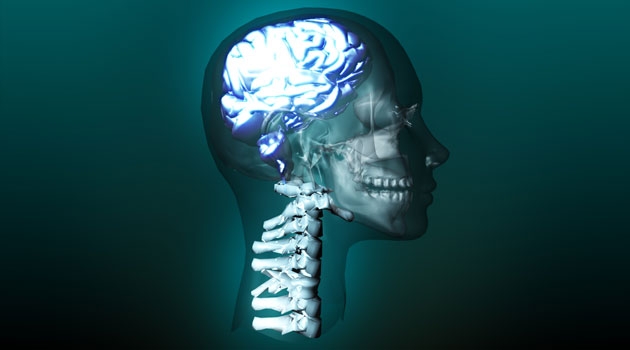 I studien såg forskarna störst effekt i hippocampus, den del av hjärnan som bildar minnen och som drabbas först vid Alzheimers sjukdom.