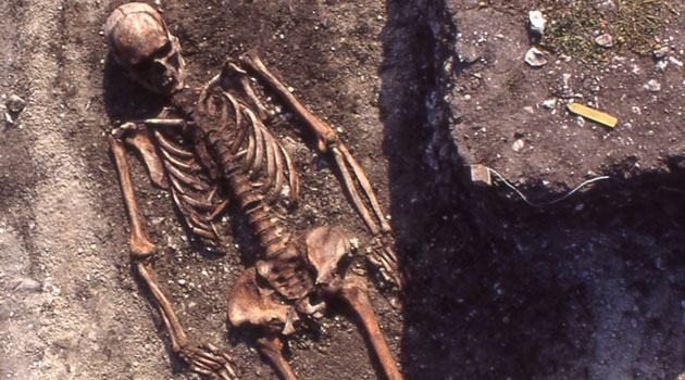 Mannen i grav 54 från det gropkeramiska gravfältet Ajvide på Gotland är begravd i raklångt ryggläge, typiskt för gropkeramiska gravar.
