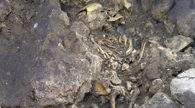 Den ovanliga grottbegravningen av den 6-årige pojken ”Matojo” (ATP12-1420) från kopparåldern.