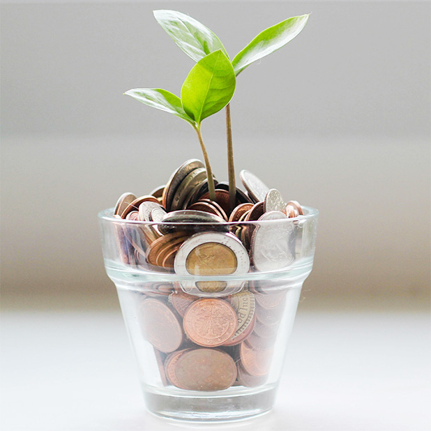 Coins covering a plant in a cup