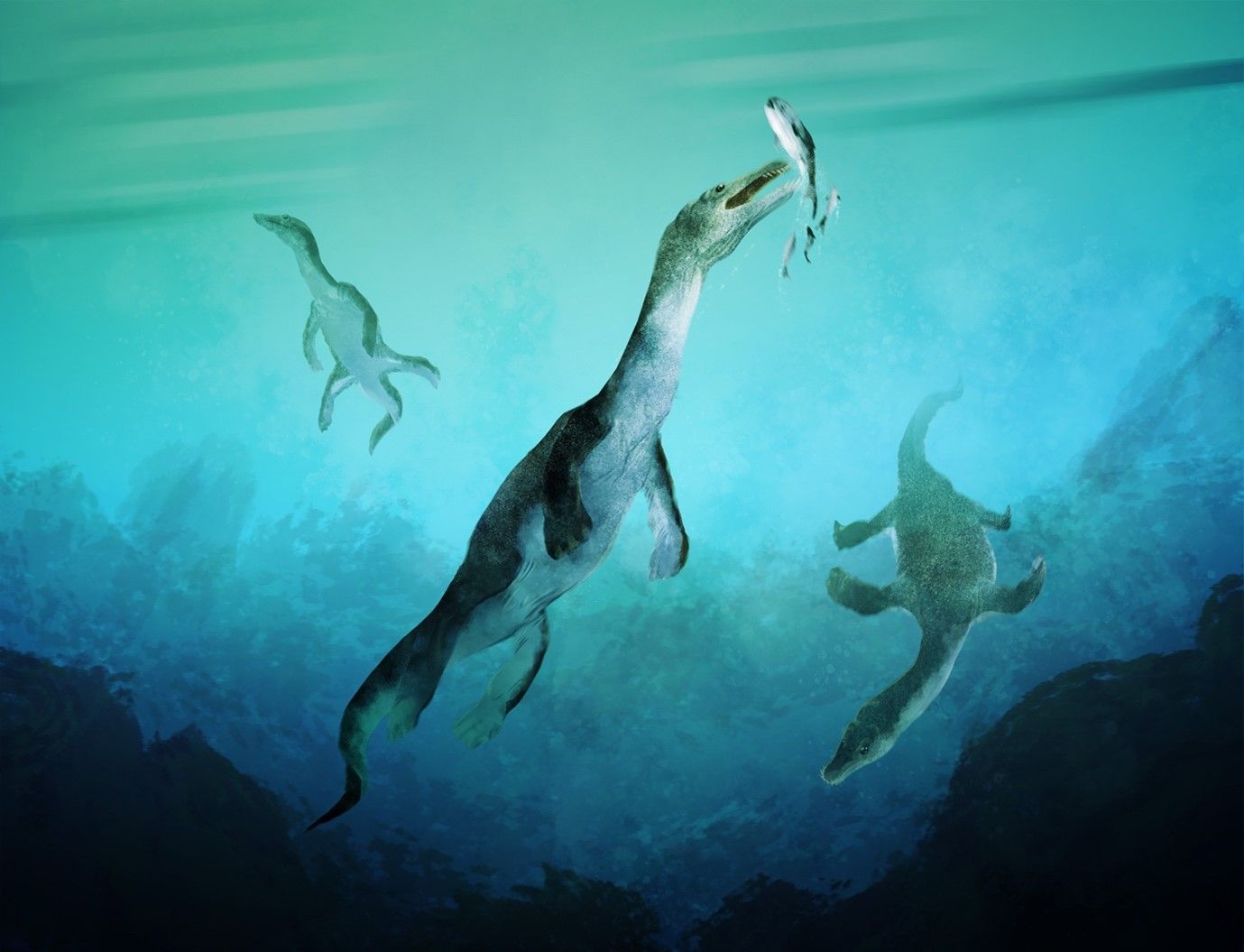 Rekonstruktion av den äldsta havsreptilen från Södra halvklotet. Nothosaurie som simmar längs med kusten på det som nu är Nya Zeeland, för cirka 246 miljoner år sedan. Illustration: Stavros Kundromichalis