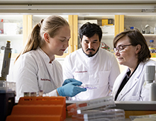 Three people in the lab are looking at an experiment