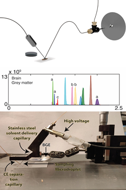 The image has three parts: 1) Illustration of SS-CE-MS showing the solvent capillary, the sample, the electrophoresis capillary and the connection to the mass spectrometer. 2) An electroferrogram showing the presence of various metabolites in brain tissue. 3) A photo of SS-CE-MS instrumentation.