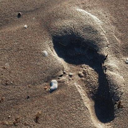 Fotspår i blöt sand