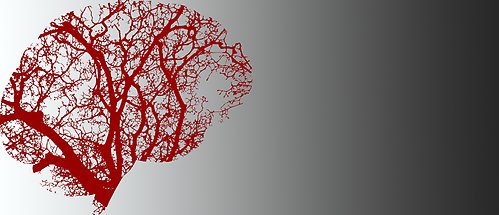 Träd som leder tankar till hjärnans blodförsörjning