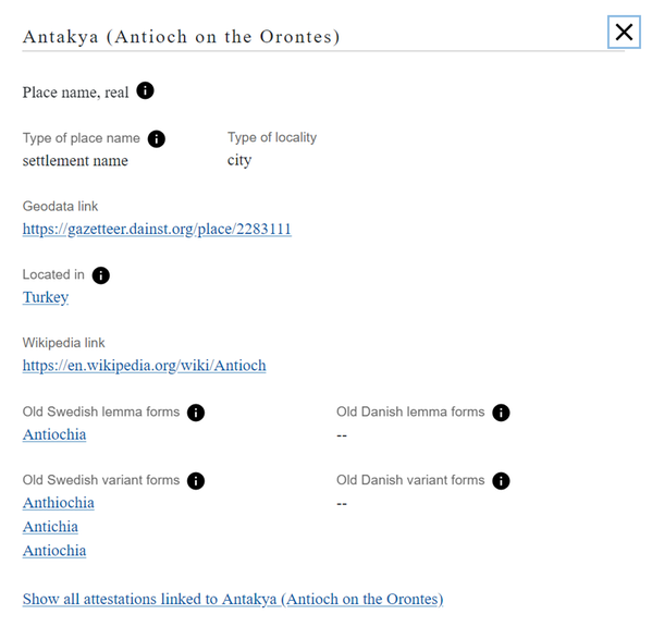 Figure 5. Detailed view for the standard form Antakya (Antioch on the Orontes).