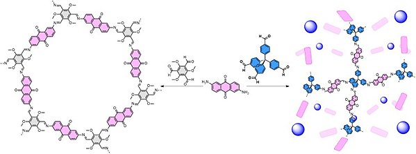 Illustration av hur två olika polymera organiska ramverk kan byggas upp från tre olika byggstenar, 2,4,6-trimetoxi-1,3,5-bensentrikarbaldehyd, 2,6-diaminoantrakinon och tetrakis(4-formylfenyl)metan. Ramverket till vänster som består av 2,4,6-trimetoxi-1,3,5-bensentrikarbaldehyd och 2,6-diaminoantrakinon har en cirkulär struktur medan ramverket till höger som består av 2,6-diaminoantrakinon och tetrakis(4-formylfenyl)metan har en grenad struktur.