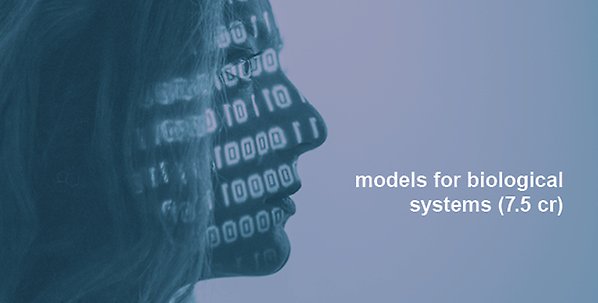 Models for Biological Systems (7.5 cr)