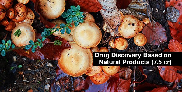 Drug Discovery Based on Natural Products (7.5 cr)