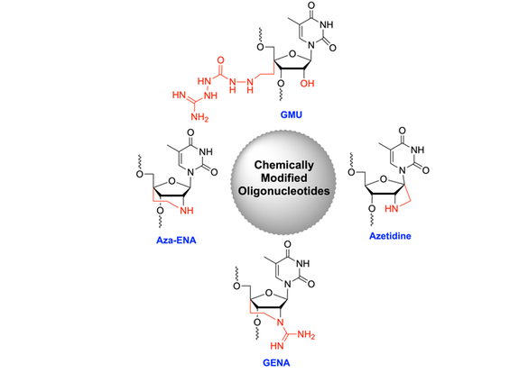 Kemiskt modifierad RNAi-läkemedelsdesign