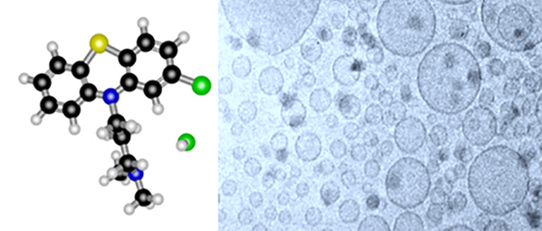 Fig.2 : Cryo-TEM image of mixed sodium dodecyl sulfate/adiphenine hydrochloride vesicles