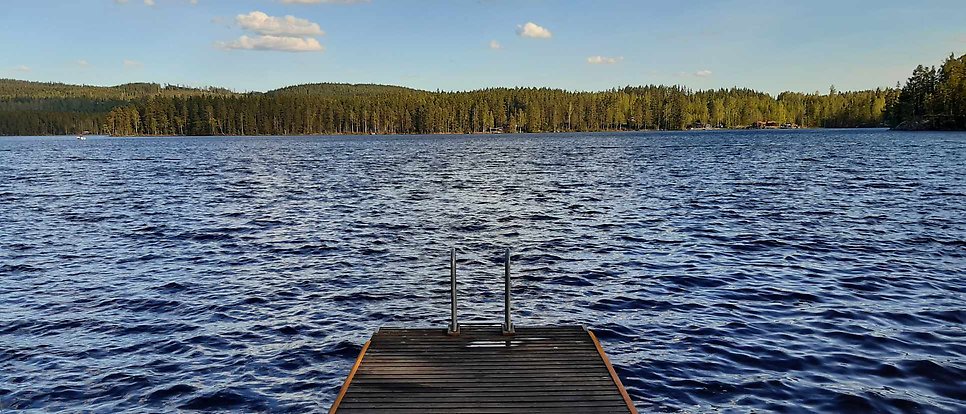 Photo of a jetty in a lake surrounded by forest.