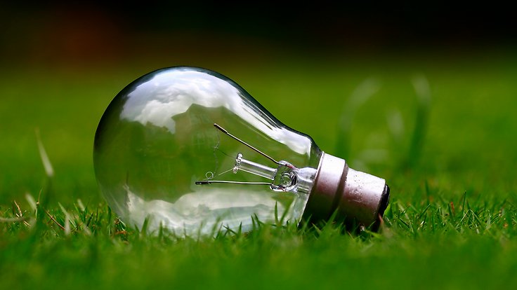 a lightbulb on grass