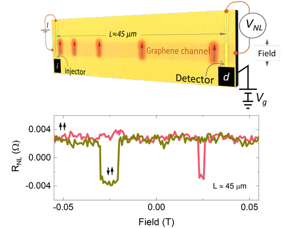 spin currents
