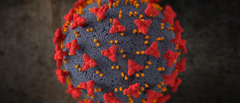 Närbild på ett coronavirus.