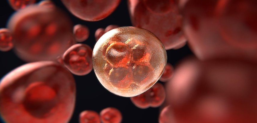 En cancercell och röda blodceller