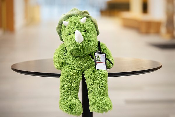 Portrait photo of a green stuffed animal.