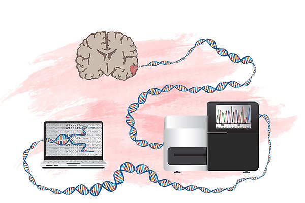 Schematisk bild över sekvensering av hjärntumörer med en teckning av en hjärna, en dator och en dna-spiral