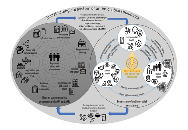 The social-ecological system of AMR