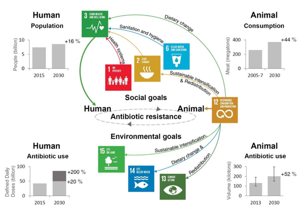 Sustainable development goals related to AMR