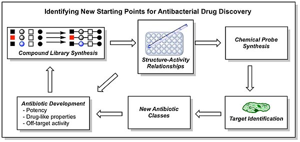 identifying new starting points for antibacterial drug discovery