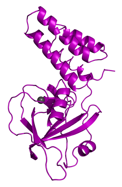 X-ray crystal structure of FusB.