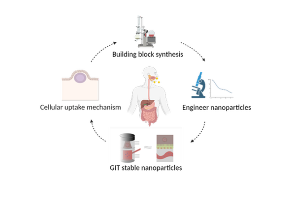 Scheme of the process of nanoparticles development.