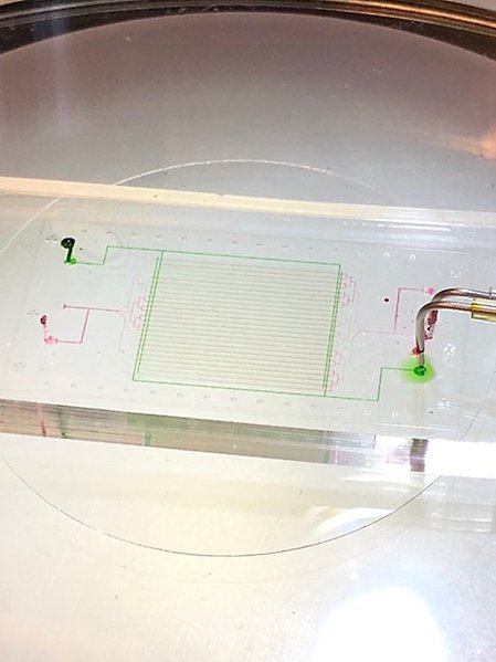 Functioning microfluidics chip