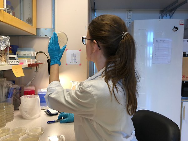 Student Petra Muir in the lab