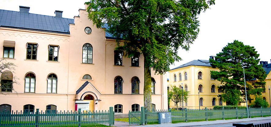 IBF:s instiutionsbyggnad sett från Trädgårdsgatan. Ett rosaputsat trevåningshus i gammal stil. Till höger syns Juridicums gula byggnad. 