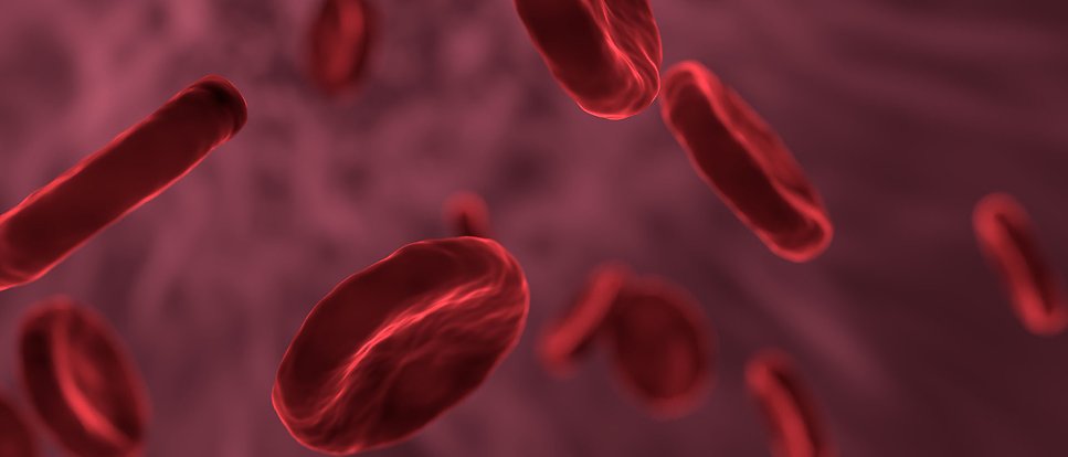 Röda blodceller.