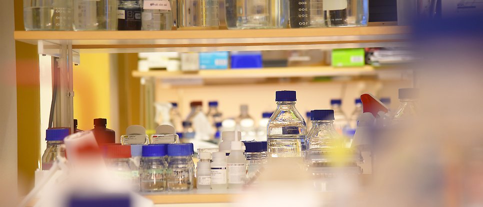 Hyllor med flaskor i ett labb