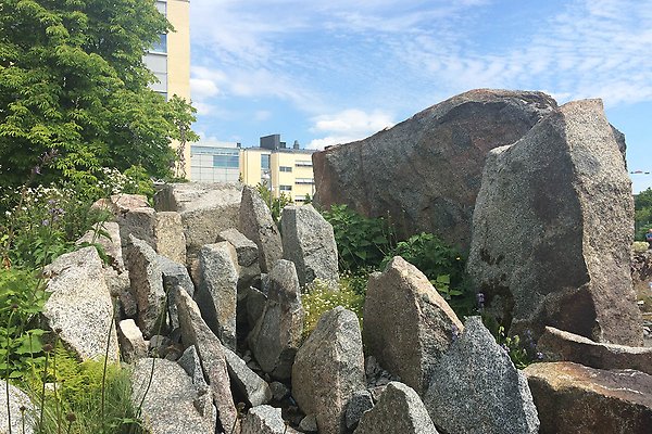 Stora stenblock i planteringen "Skandinaviska fjället", med växter som sticker upp emellan.