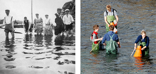 Studenter i vatten från Klubban 1915 och 2015