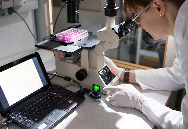Person tittar i mikroskop på labb