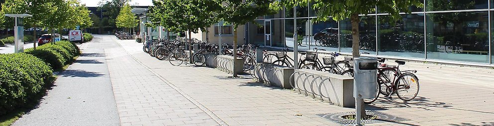 Cyklar utanför Blåsenhus uppställda vid cykelställ.